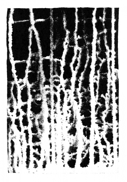 MAIGĀS STRUKTŪRAS &nbsp;/ &nbsp;2015&nbsp;&nbsp;/ &nbsp;sietspiede 4/4, 20.5x14, papīrs 32x22&nbsp; &nbsp; FRAGILE STRUCTURES &nbsp;/ &nbsp;2015 &nbsp;/ screen print 4/4, 20.5x14, paper 32x22,