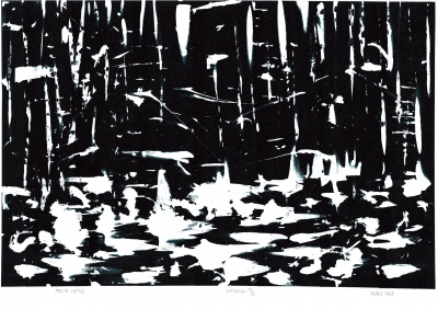 Tokyo rain. In this extraordinary blur of colour, a defensive reaction sets in &ndash; everything becomes black and white. I want to talk to somebody. I want to be home. &nbsp; 2009 &nbsp;