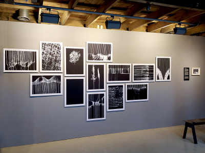 At the Gallery Istaba &nbsp; &nbsp;2021